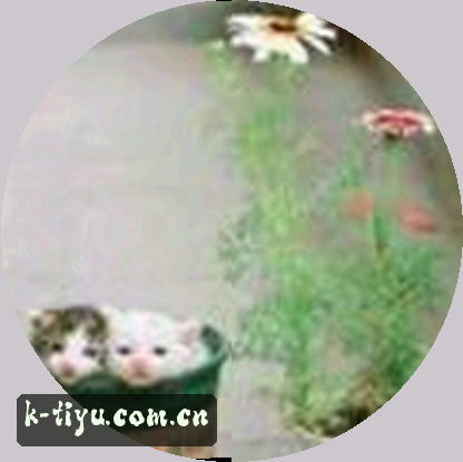 张猛